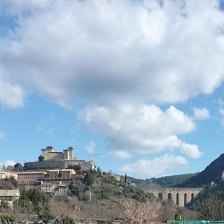 Appartamento Di Via Refini สโปเลโต ภายนอก รูปภาพ